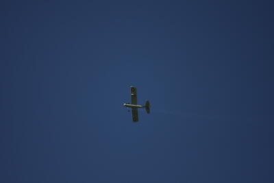 IMG 1546